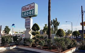 The Willow Tree Motel